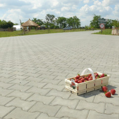 SEMMELROCK ÍČKO 8 neskladba 20x16,5x8 šedá (8m2/pal)